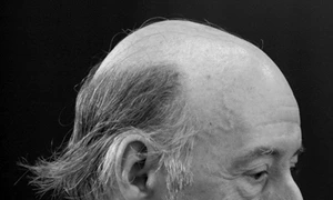 Eu sînt toţi oamenii pe care i am văzut în viaţă jpeg