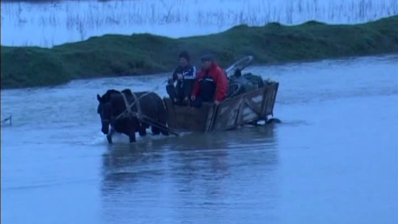 inundatii