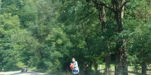 Vânzarea fructelor de pădure pe margine drumului ar putea deveni amintire, dacă italienii investesc în acest domeniu