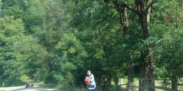 Vânzarea fructelor de pădure pe margine drumului ar putea deveni amintire, dacă italienii investesc în acest domeniu