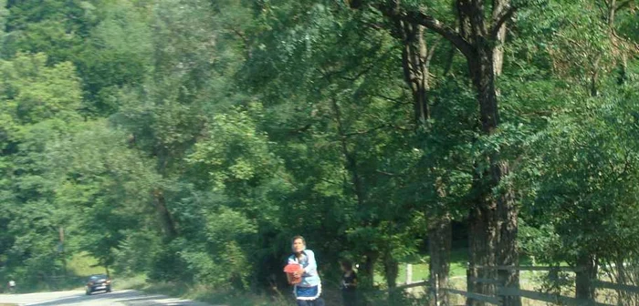 Vânzarea fructelor de pădure pe margine drumului ar putea deveni amintire, dacă italienii investesc în acest domeniu