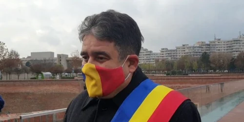 plesa primar alba