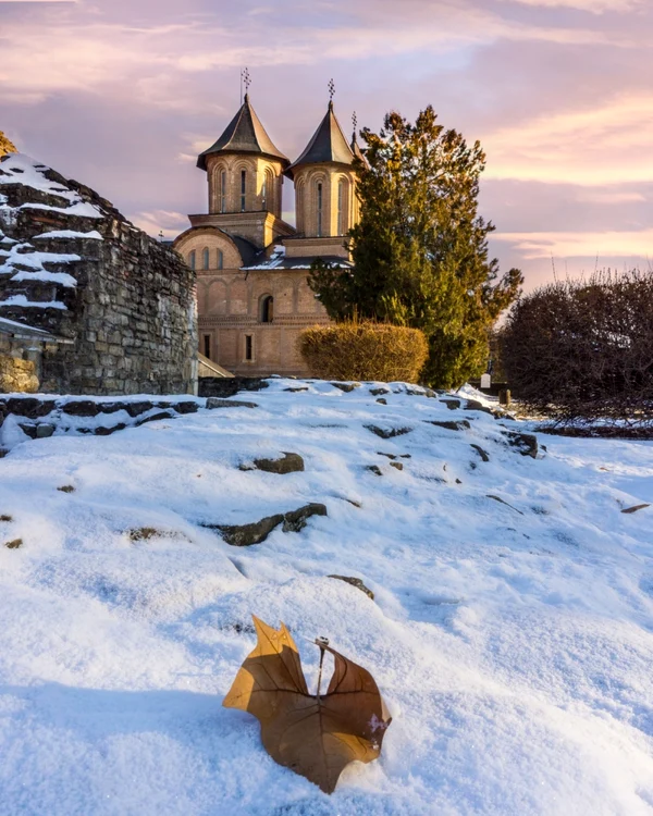 Curtea Domnească din Târgovişte / FOTO Shutterstock