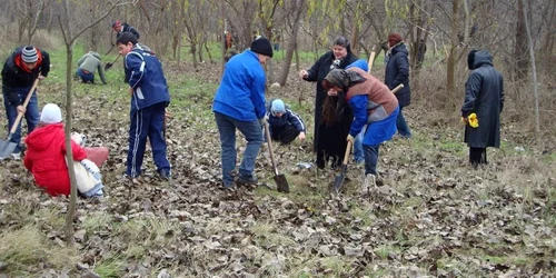 Plantările de puieţi sunt menite să protejeze mediul