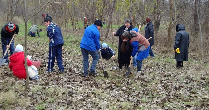 Plantările de puieţi sunt menite să protejeze mediul