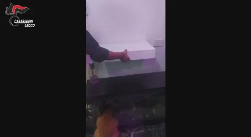 Trei români, bătuți cu brutalitate de trapperul Baby Gang și gașca sa. Artistul bătăuș a fost arestat. Ce a declanșat conflictul