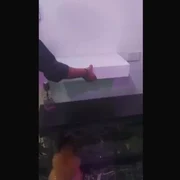 Carlo Gallo Karl Fash           Quanti giorni rimarra  in carcere questa volta Zaccaria Mouhib  Baby G    yb1XXF mp4 thumbnail png