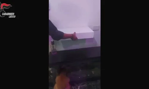 Carlo Gallo Karl Fash           Quanti giorni rimarra  in carcere questa volta Zaccaria Mouhib  Baby G    yb1XXF mp4 thumbnail png