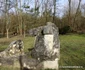 Parcul Dendrologic din Simeria Foto Daniel Guță ADEVĂRUL (48) JPG
