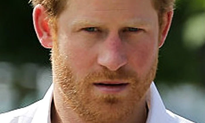printul harry jpeg