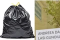 mesaj vecina jpg