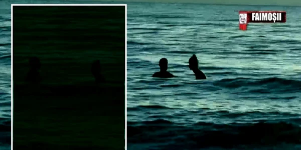 survivor giurcanu