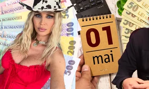 banner andreea banica ovidiu Komornyik  jpg