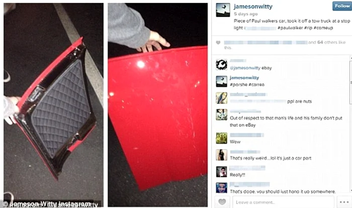 Cei doi tineri s-au lăudat cu fapta lor pe internet şi chiar au vrut să vândă bucăţile