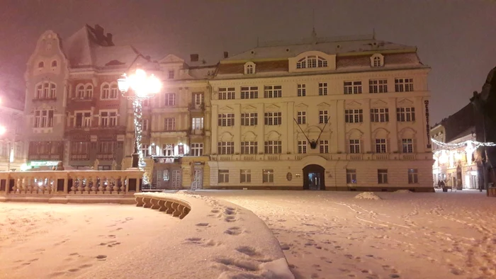 Prima ninsoare din 2019. Timişoara a îmbrăcat din nou haine albe FOTO Ş.Both