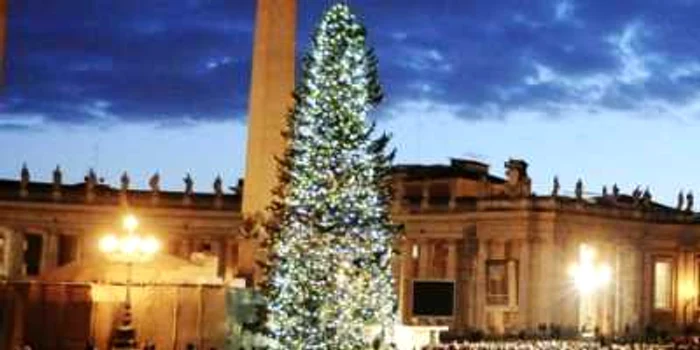 Bradul de la Vatican poate fi admirat de vizitatori