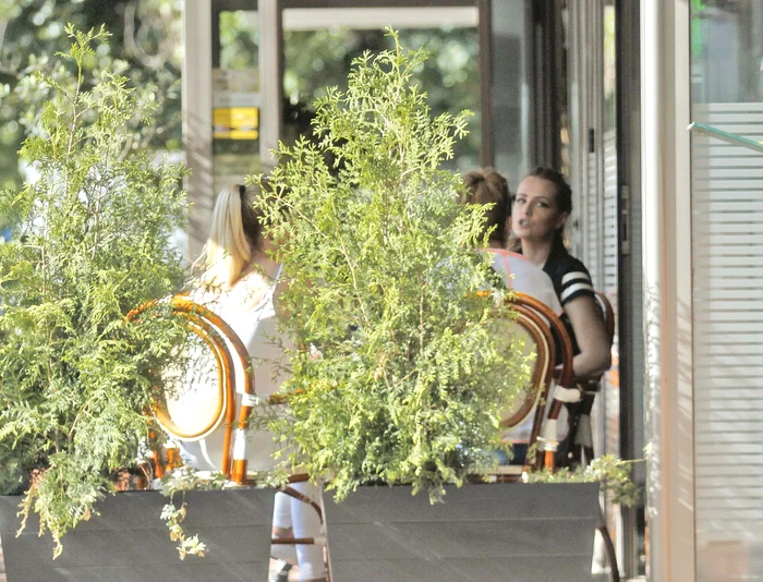 Au luat prânzul  la o terasă