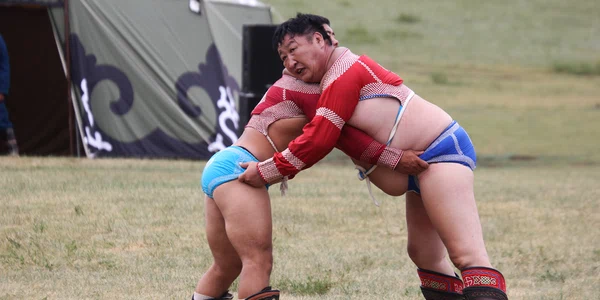 Luptători mongoli într-o competiție tradițională în masculinitate FOTO Shutterstock 