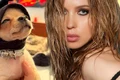 banner anca badiu png