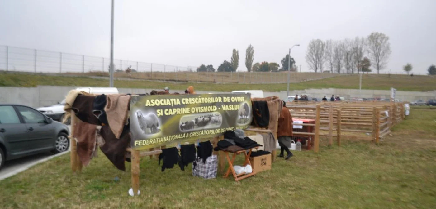 Expo Agro Moldova, ediţia a treia FOTO Mircea Merticariu