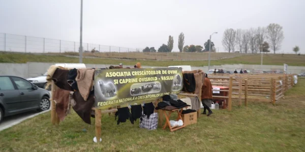 Expo Agro Moldova