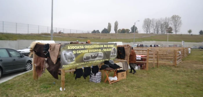Expo Agro Moldova, ediţia a treia FOTO Mircea Merticariu