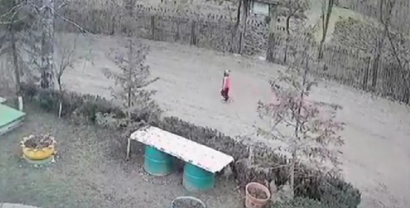 Radu Ayan Mahmood în timp ce se îndrepta spre pădure. Foto Captură video YouTube