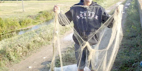 Arhivă Adevărul