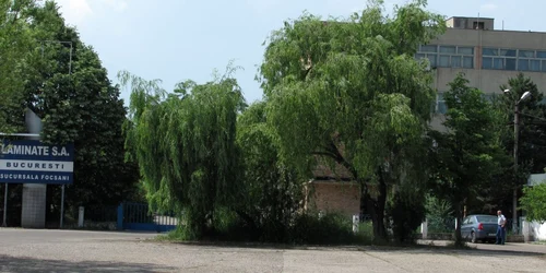 Dacă va fi cumpărată, în fabrică ar putea lucra aproximativ 300 de oameni. 