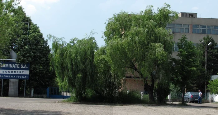 Dacă va fi cumpărată, în fabrică ar putea lucra aproximativ 300 de oameni.