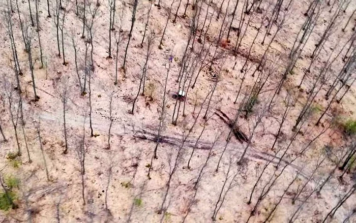 Imagini aeriene cu o pădure unde aveau loc tăieri ilegale de arbori. FOTO: IJJ Hunedoara