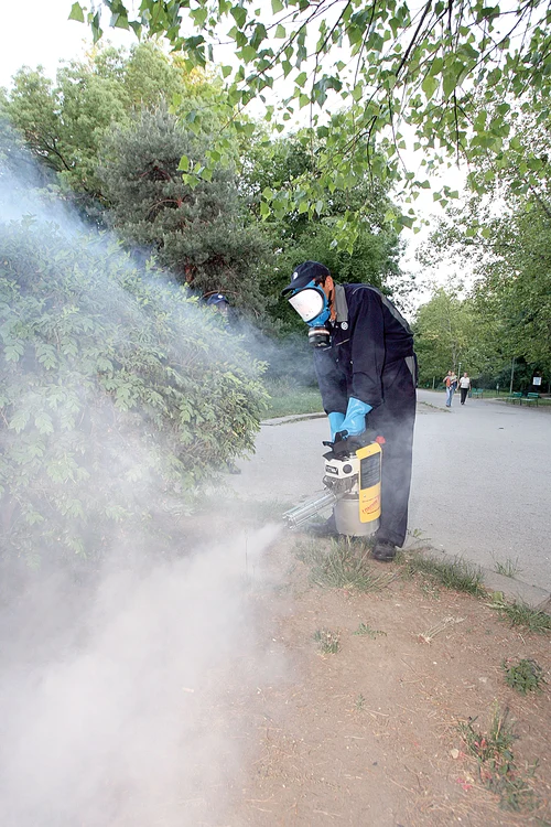 
    Ajung oriunde în lume  cu camionul, căci  cererea de echipamente  second hand e uriașăFoto: AP  
