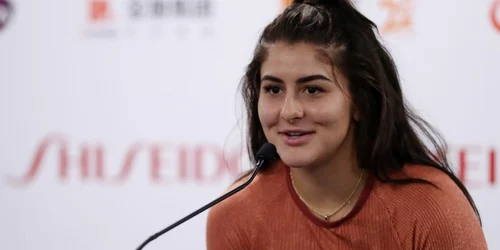 Andreescu Facebook jpg