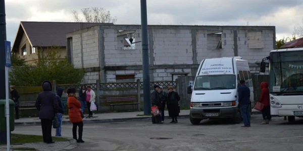 troleibuze vaslui