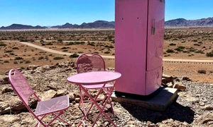 frigider roz desert jpg
