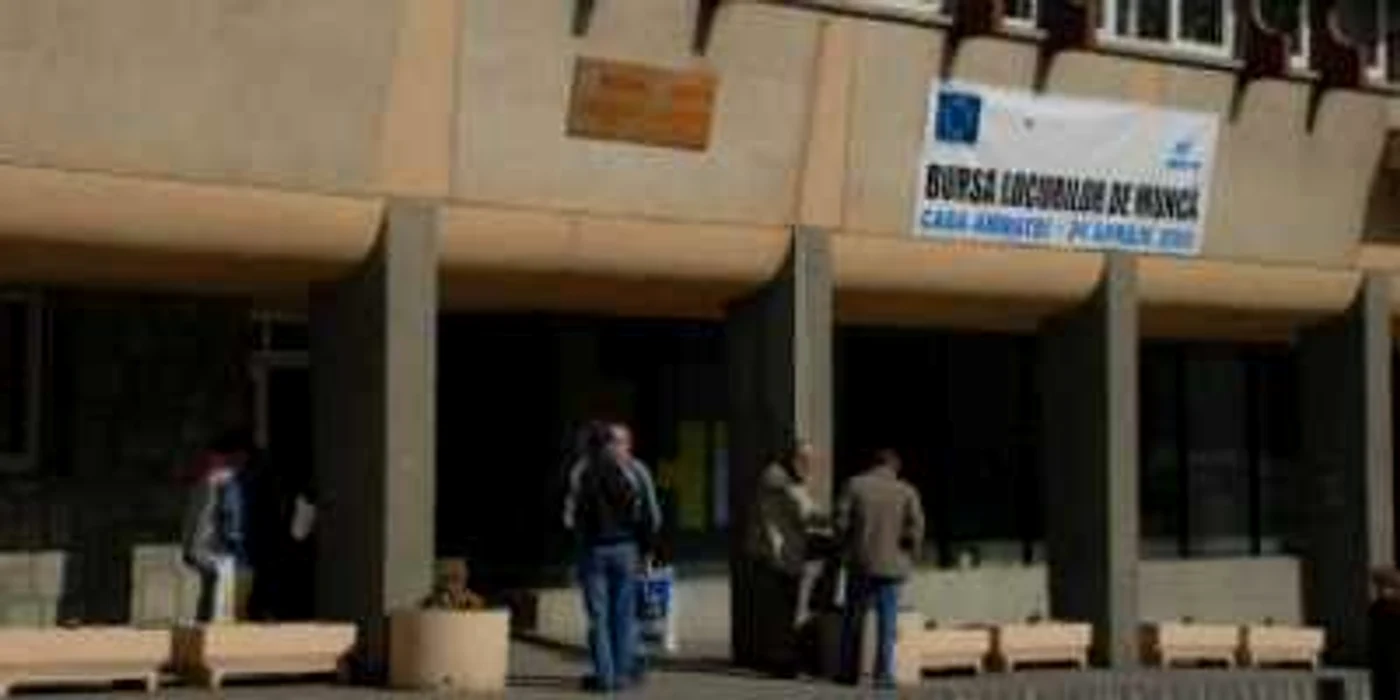 Braşov: Cooperativa „munca în zadar” la AJOFM Braşov
