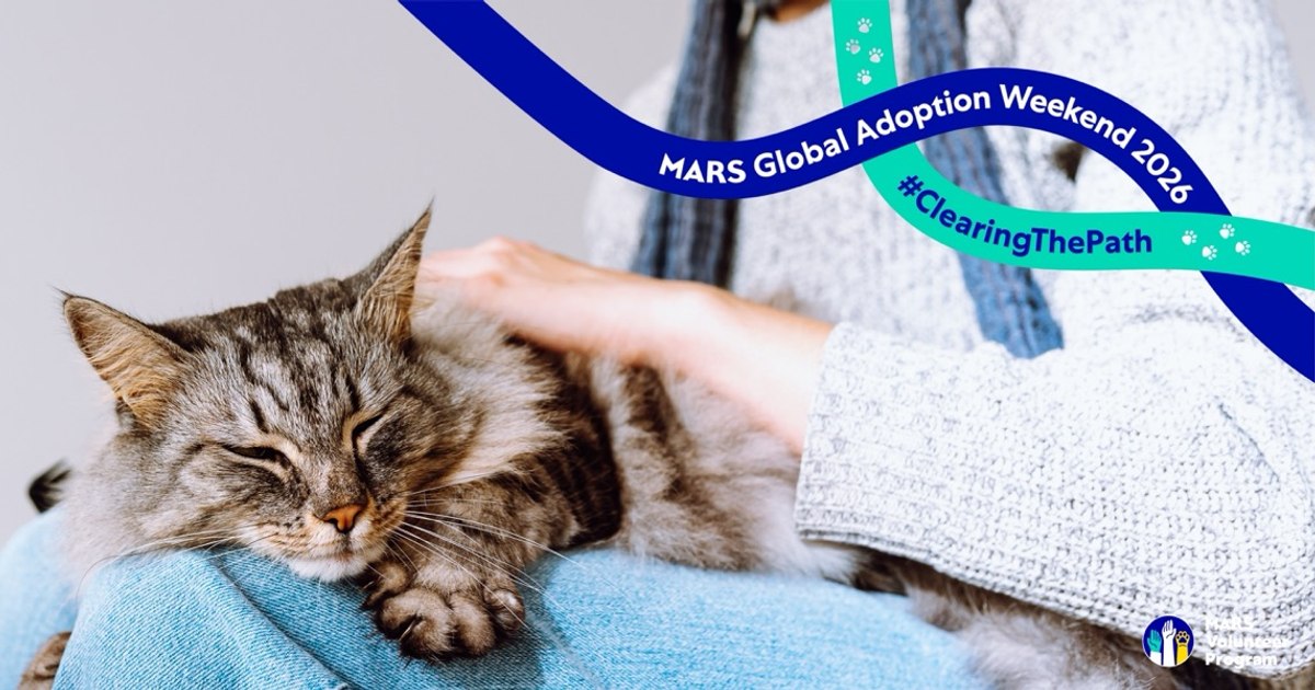 Mars lansează o platformă pentru adopția animalelor de companie
