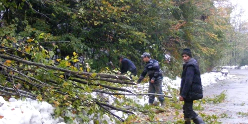 Atenţie mare la ramurile copacilor