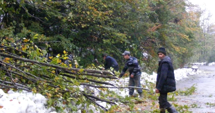 Atenţie mare la ramurile copacilor