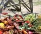 Foodshooting Cetate Dunare 02 m jpg