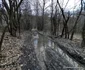 lacul cozia foto daniel guta adevarul