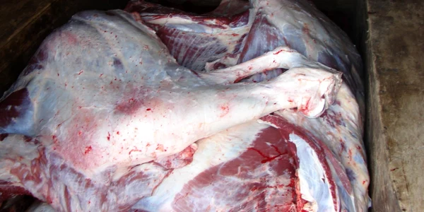 carne de vită