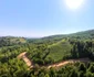 Drumul din Munții Zarandului  Foto Daniel Guță ADEVĂRUL (2) jpg