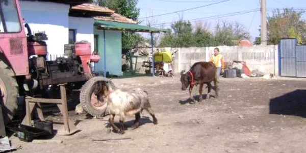 Primele rezultate cu principalii indicatori vor fi difuzate în luna iunie 2011 Foto: Arhiva 