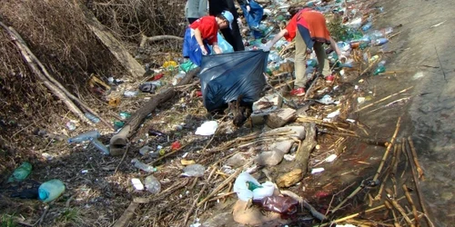 Ecologizare