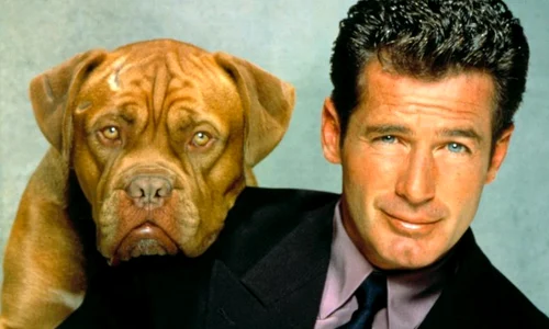 1 tequila and bonetti 564228l jpg jpeg