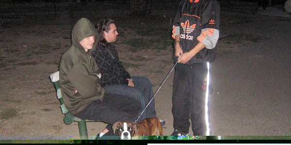 Parcurile au ajuns  wc-uri canine