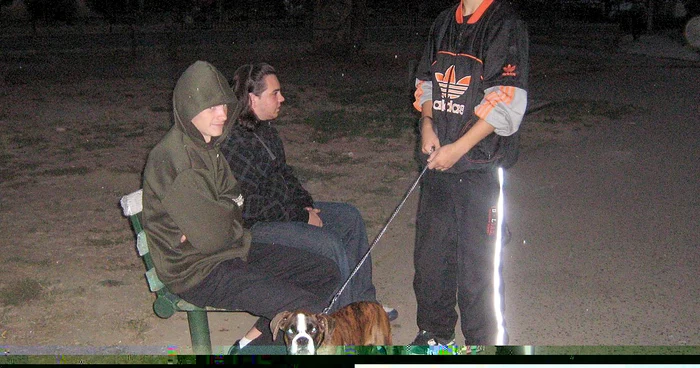 Parcurile au ajuns wc-uri canine
