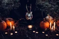 halloween pixabay jpg