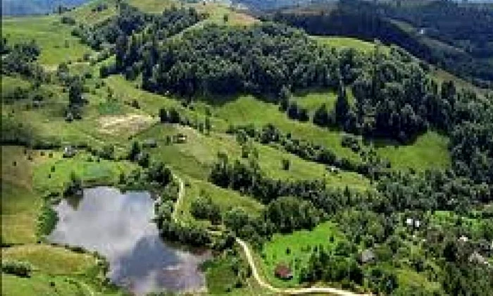 Valorificarea cercetărilor arheologice de la Roșia Montană jpeg